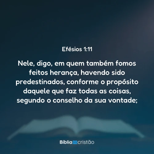 Efésios 1:11