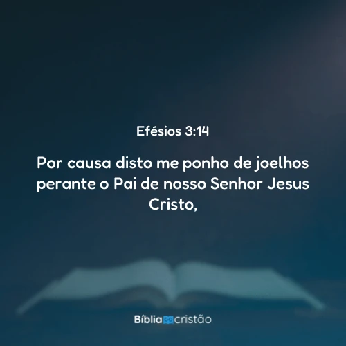 Efésios 3:14