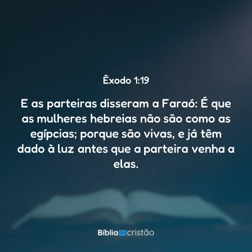 Êxodo 1:19