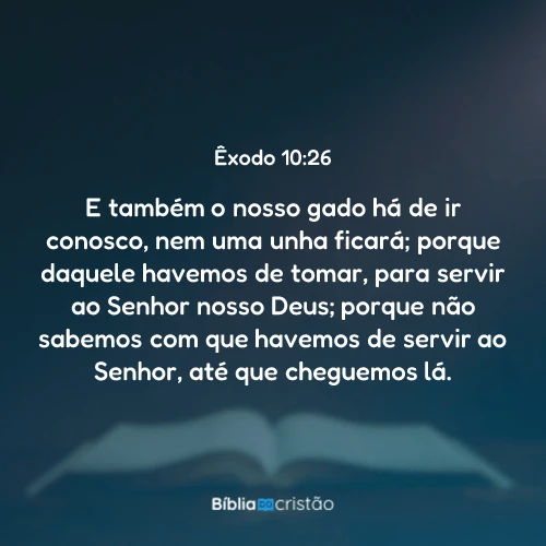 Êxodo 10:26