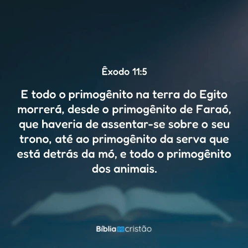 Êxodo 11:5