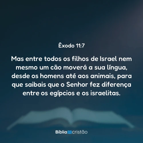 Êxodo 11:7