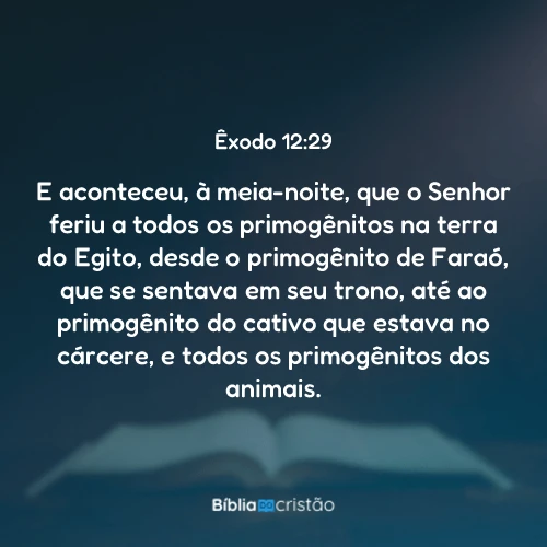 Êxodo 12:29