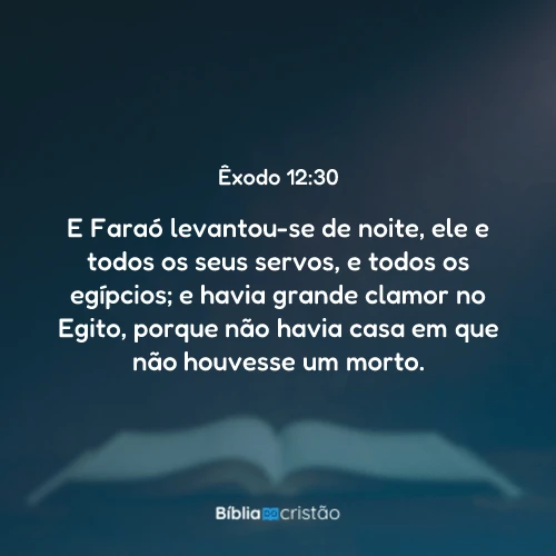 Êxodo 12:30