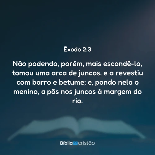 Êxodo 2:3
