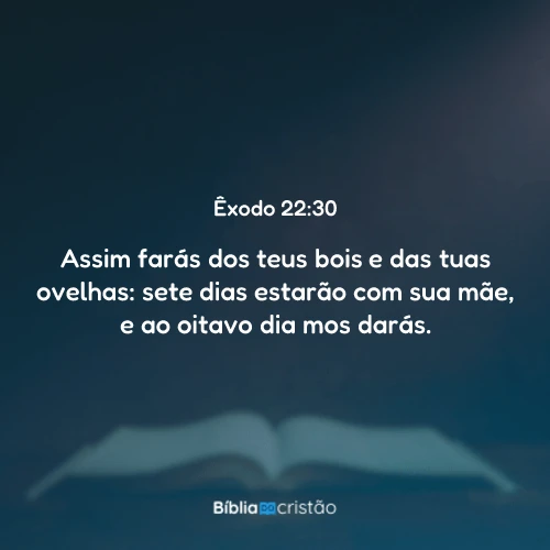 Êxodo 22:30