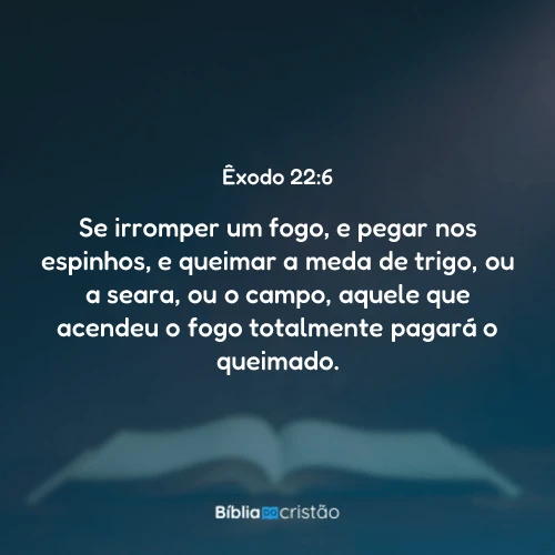 Êxodo 22:6