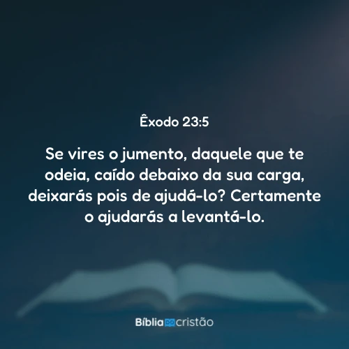 Êxodo 23:5