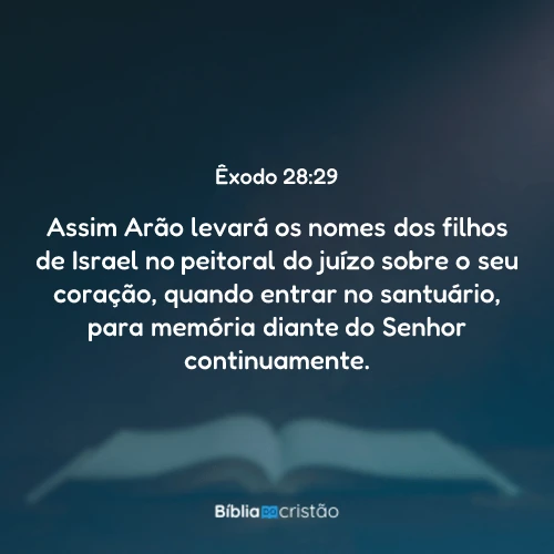 Êxodo 28:29