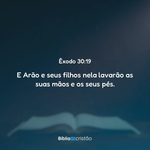 Êxodo 30:19