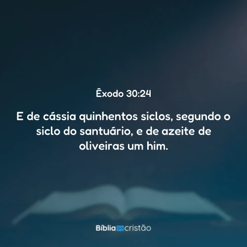 Êxodo 30:24