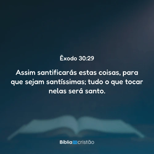Êxodo 30:29