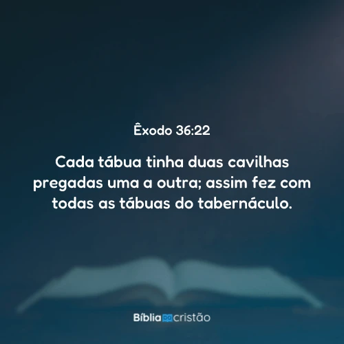 Êxodo 36:22