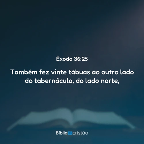 Êxodo 36:25
