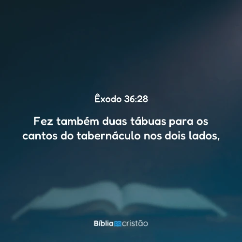 Êxodo 36:28