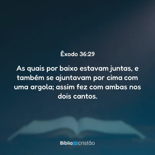 Êxodo 36:29
