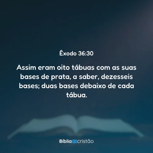 Êxodo 36:30