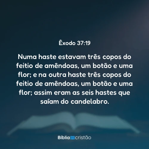 Êxodo 37:19