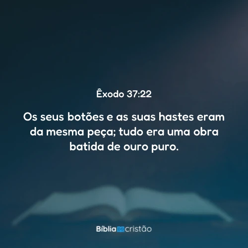 Êxodo 37:22