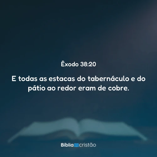 Êxodo 38:20