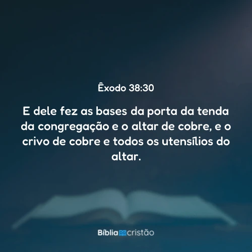 Êxodo 38:30