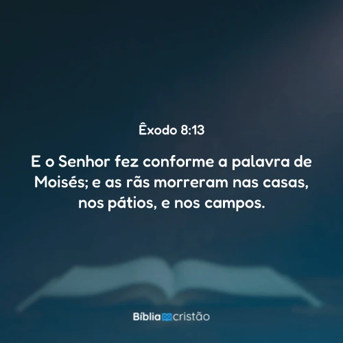 Êxodo 8:13