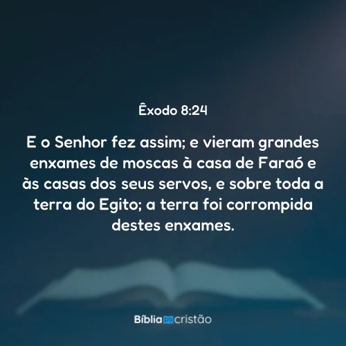 Êxodo 8:24