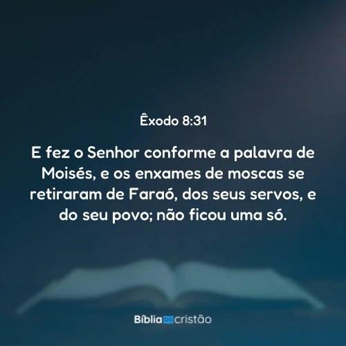 Êxodo 8:31