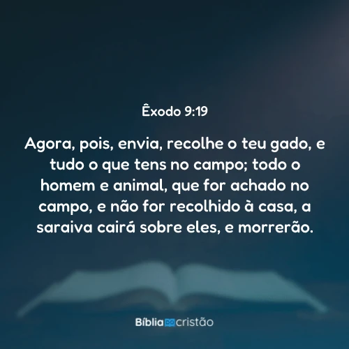 Êxodo 9:19