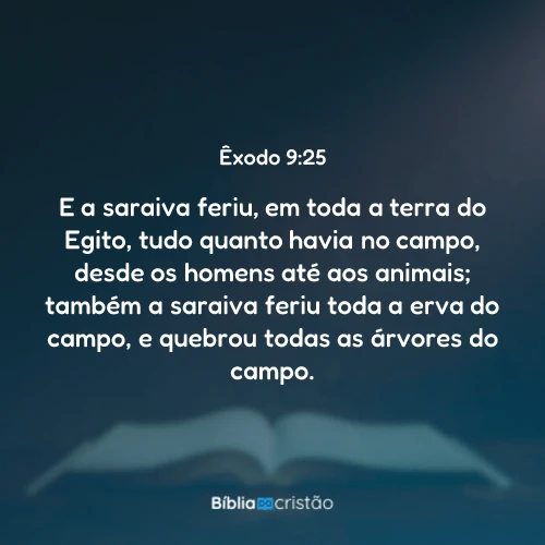 Êxodo 9:25