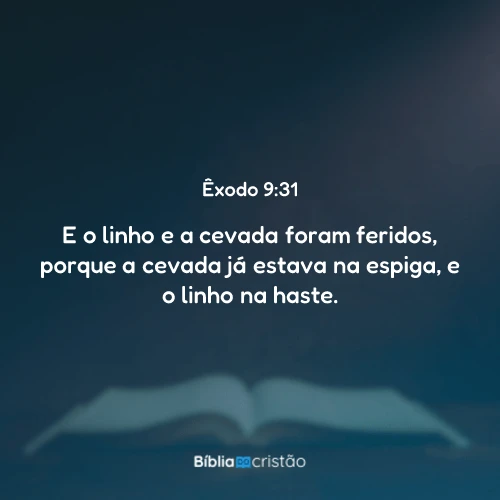 Êxodo 9:31