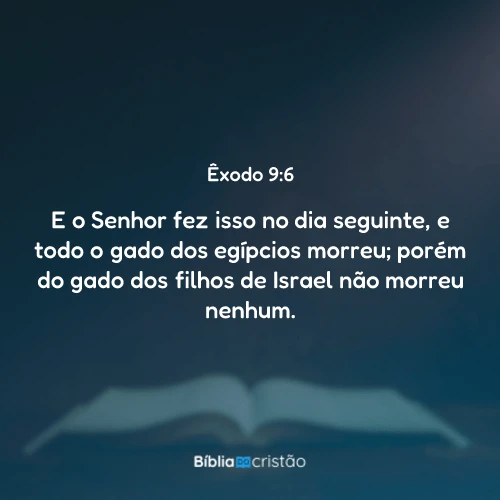 Êxodo 9:6