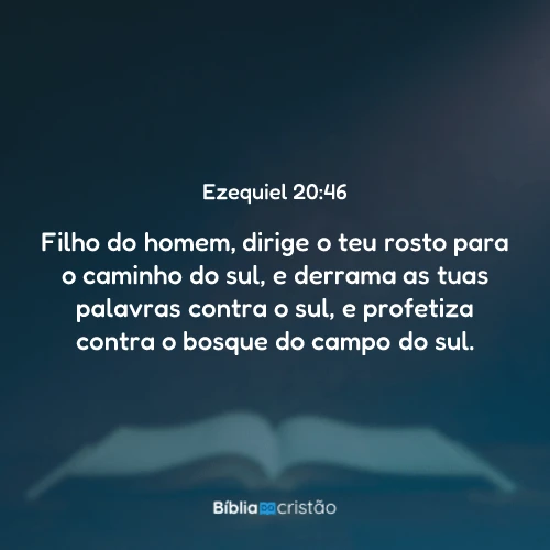 Ezequiel 20:46