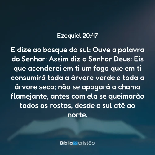 Ezequiel 20:47
