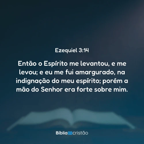 Ezequiel 3:14