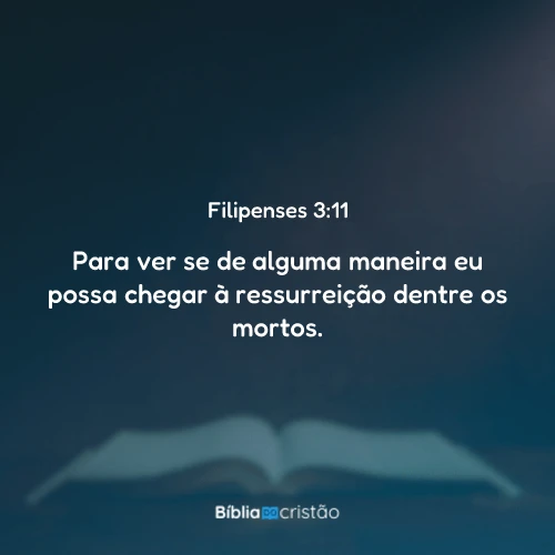 Filipenses 3:11