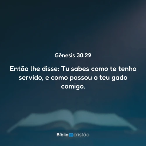 Gênesis 30:29