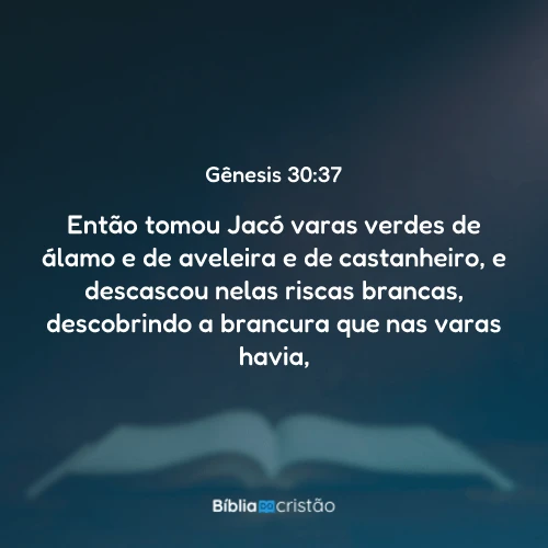 Gênesis 30:37