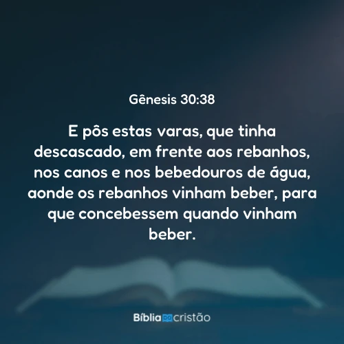 Gênesis 30:38