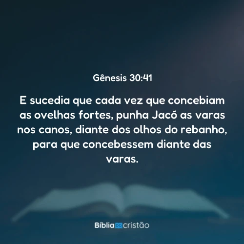 Gênesis 30:41