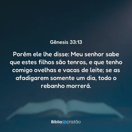 Gênesis 33:13
