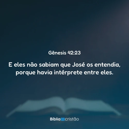 Gênesis 42:23