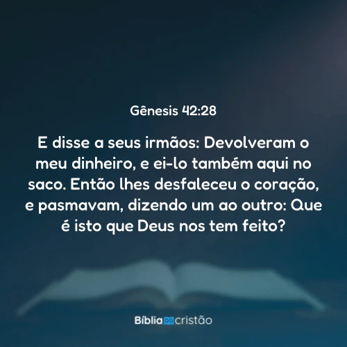 Gênesis 42:28