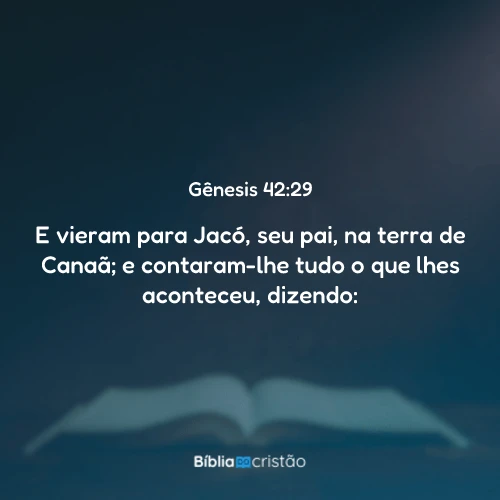 Gênesis 42:29