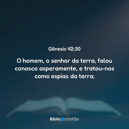 Gênesis 42:30