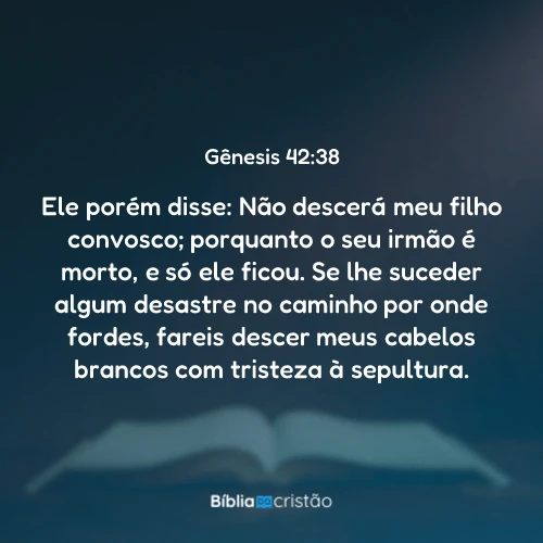 Gênesis 42:38