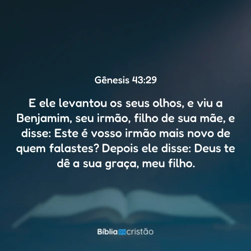 Gênesis 43:29