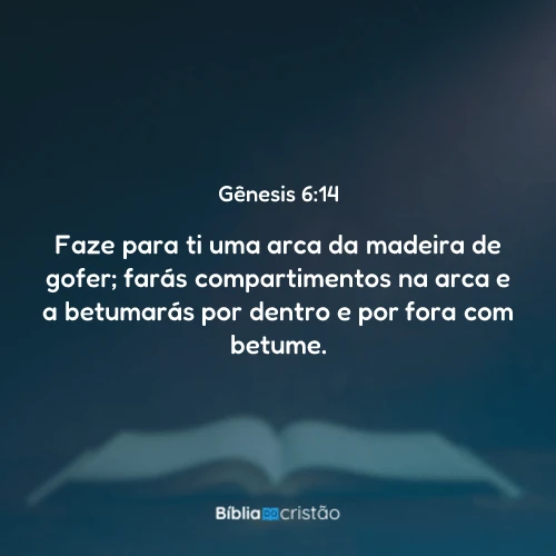 Gênesis 6:14