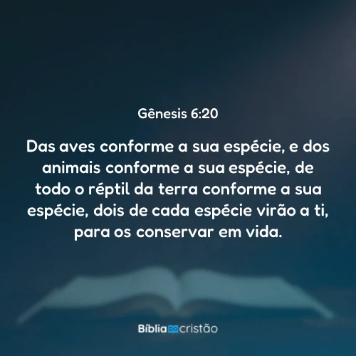 Gênesis 6:20
