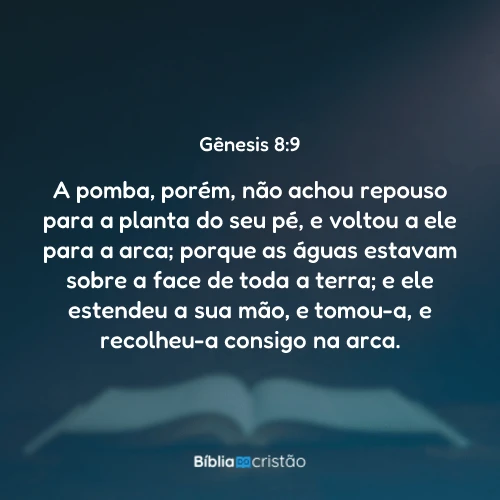 Gênesis 8:9
